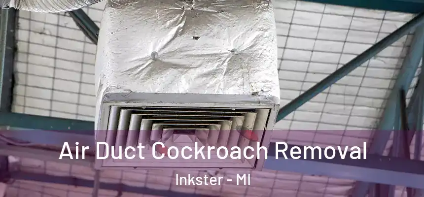  Air Duct Cockroach Removal Inkster - MI