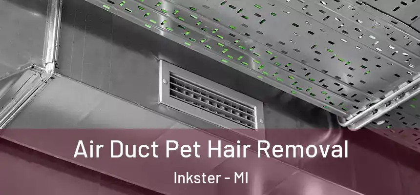 Air Duct Pet Hair Removal Inkster - MI
