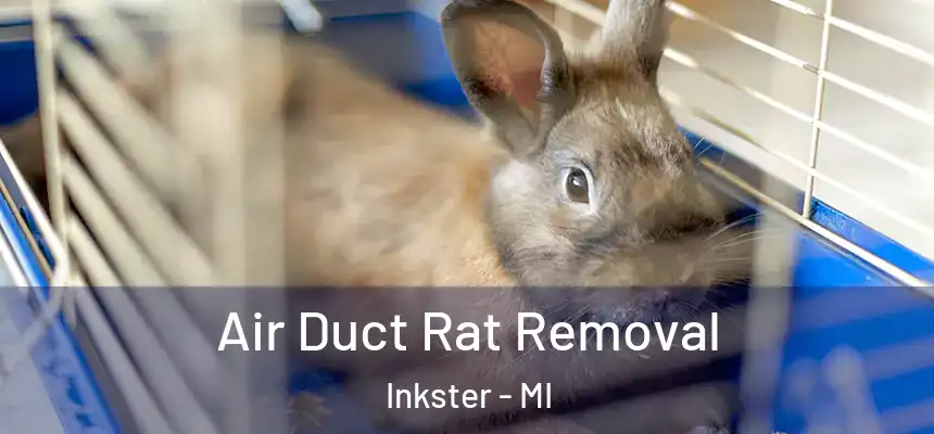  Air Duct Rat Removal Inkster - MI