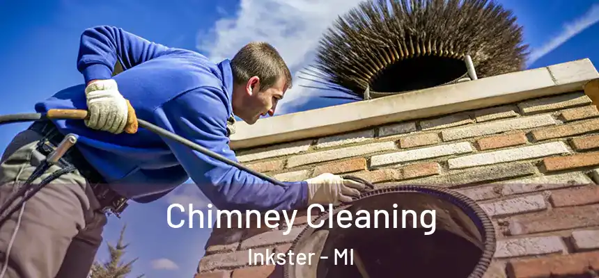  Chimney Cleaning Inkster - MI