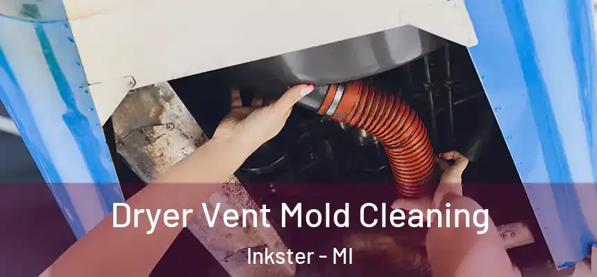  Dryer Vent Mold Cleaning Inkster - MI