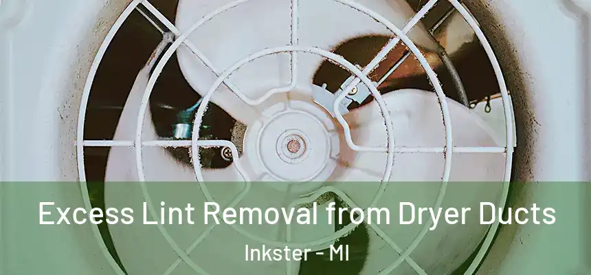  Excess Lint Removal from Dryer Ducts Inkster - MI