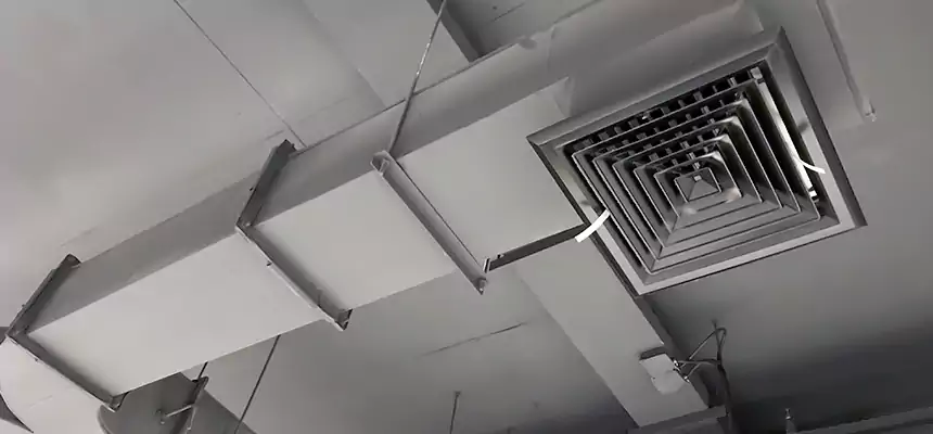 Restorative Allergy Relief Vent Cleaning – Coil, Blower & Housing Detail in Inkster