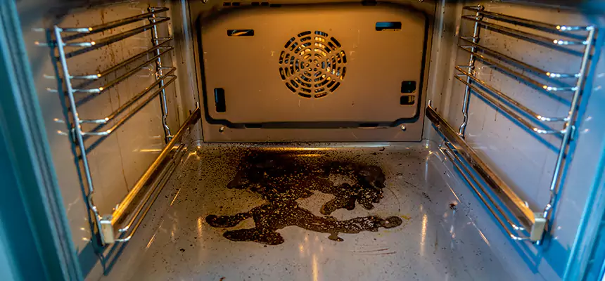 Our Dryer Vent Mold Cleaning Services in Inkster, MI