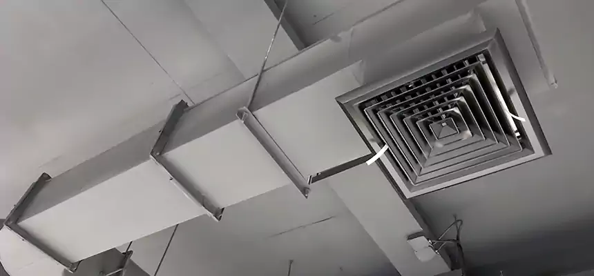 Our Pest Removal From Ducts Services in Inkster, MI