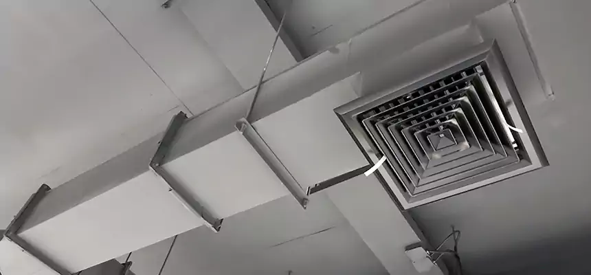 Our Rodent Droppings In Vents Services in Inkster, MI