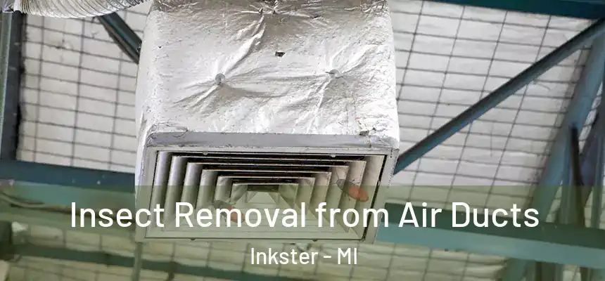  Insect Removal from Air Ducts Inkster - MI