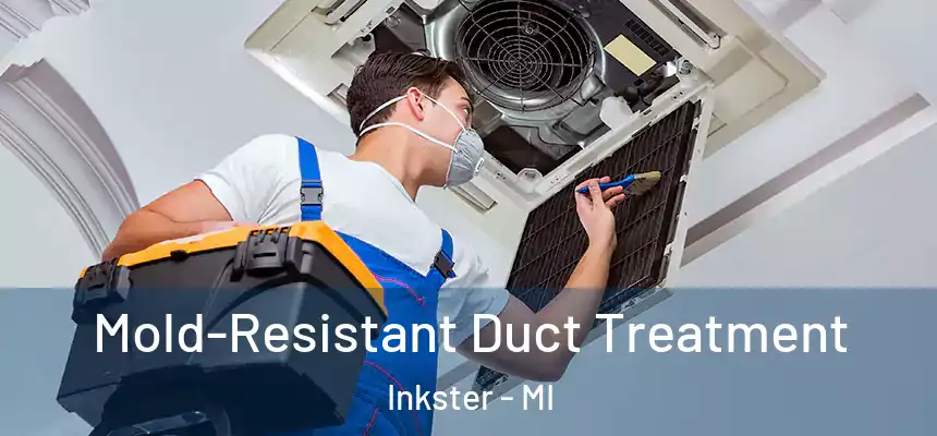  Mold-Resistant Duct Treatment Inkster - MI