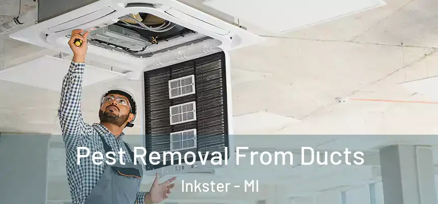  Pest Removal From Ducts Inkster - MI