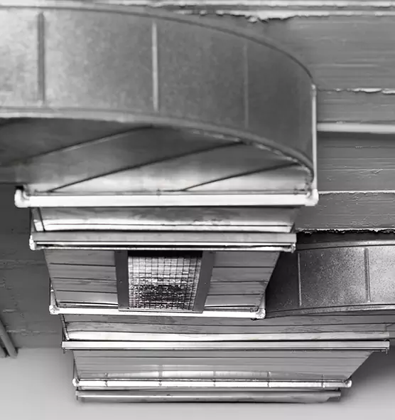 Professional Air Duct Pest Removal in Inkster, MI