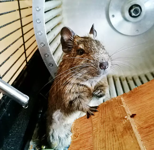 Why Homeowners & Businesses Trust Us Inkster, MI